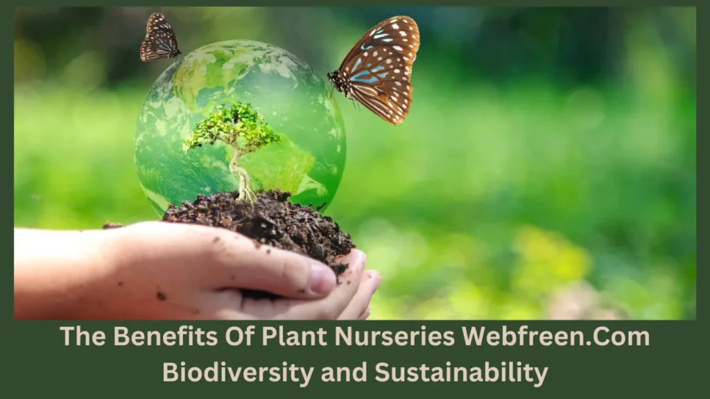 The Benefits Of Plant Nurseries Webfreen.Com Biodiversity and Sustainability