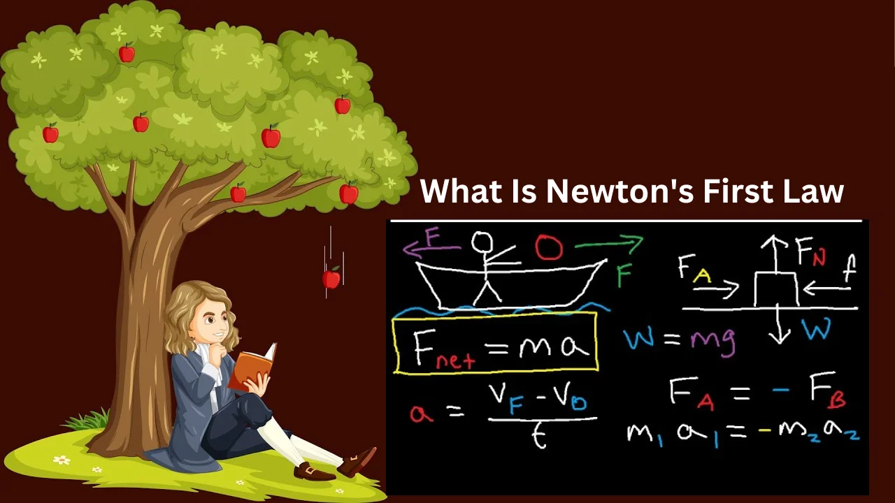 what is newton's first law